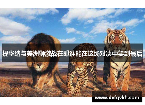 提华纳与美洲狮激战在即谁能在这场对决中笑到最后